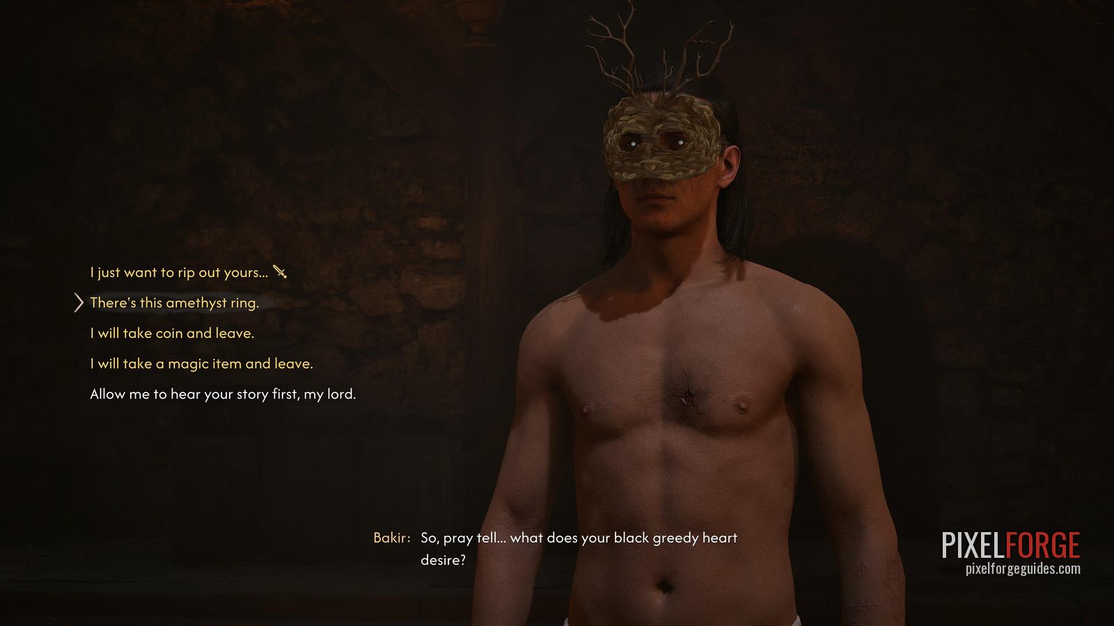 Bakir's feast: final answer