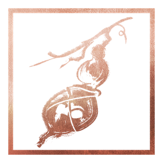The Healer's Legacy (bronze) trophy