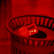 Radio Silence trophy